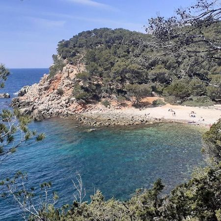 Bandol Maison De Campagne Eksteriør bilde