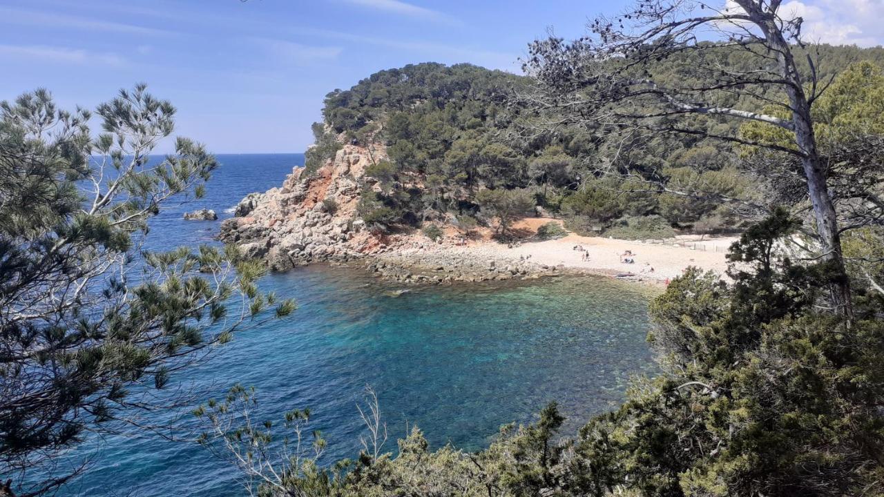Bandol Maison De Campagne Eksteriør bilde